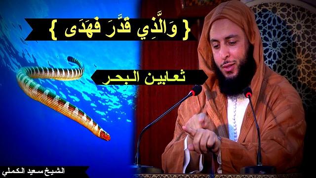 مـقــطـع عـجـيـب من قـوله تـعالى..{ وَالَّذِي قَدَّرَ فَهَدَى } - ثعابين الـبحـر ـ الشيخ سعيد الكملي