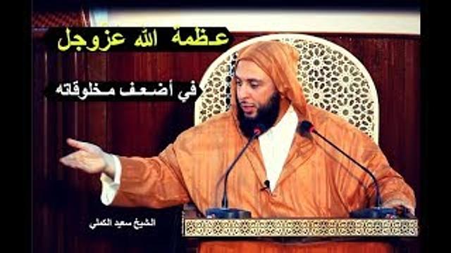 شـاهد عـظمة  الله عزّوجل في أضـعـف مـخلوقاته ـ (الـسّــمــك) ـ الـشيخ سعيد الكملي