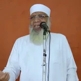 شوقي عبدالصادق
