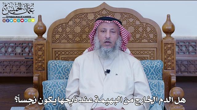 41 - هل الدم الخارج من البهيمة عند ذبحها يكون نجسا؟ - عثمان الخميس
