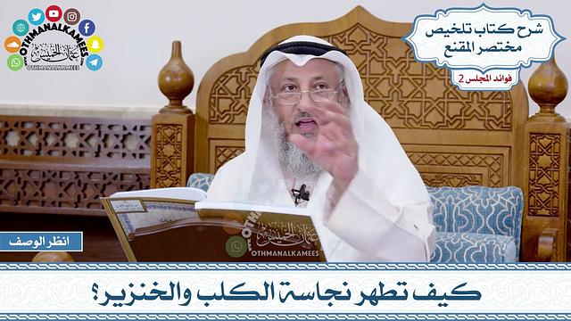 58 - كيف تطهر نجاسة الكلب والخنزير؟ - عثمان الخميس