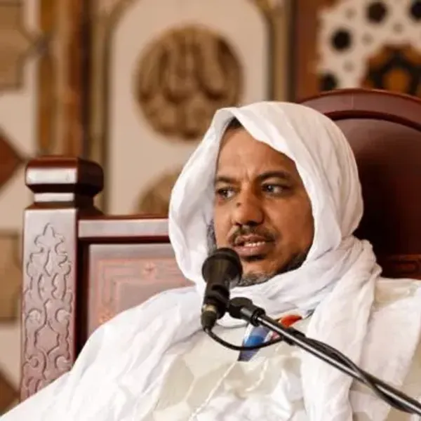 محمد محمود ولد أحمد الشيخ الشنقيطي