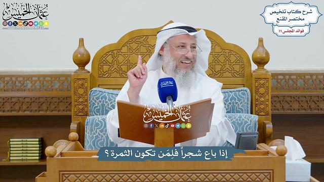 3303 - إذا باع شجراً فلِمَن تكون الثمرة؟ - عثمان الخميس