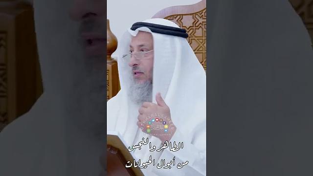 الطاهر والنجس من أبوال الحيوانات - عثمان الخميس