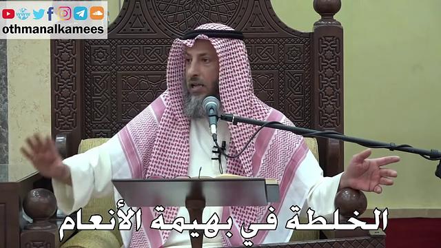 1059 - الخلطة في بهيمة الأنعام - عثمان الخميس - دليل الطالب