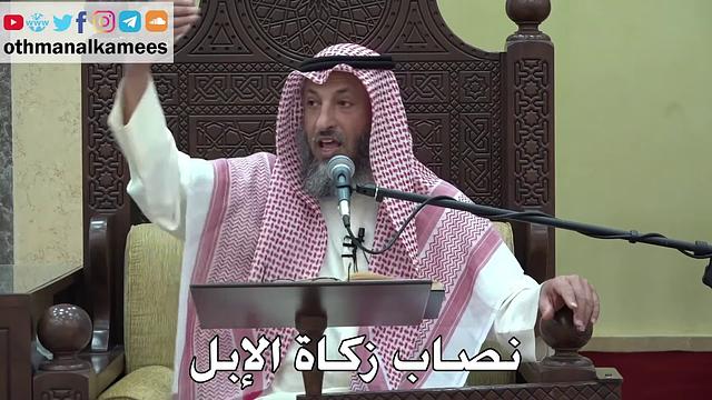 1056 - نصاب زكاة الإبل - عثمان الخميس - دليل الطالب
