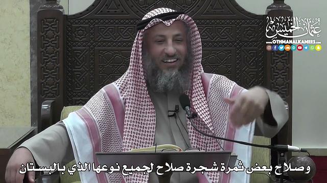 1408 - وصلاح بعض ثمرة شجرة صلاح لجميع نوعها الذي بالبستان - عثمان الخميس