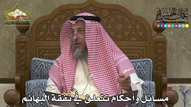 2294 - مسائل وأحكام تتعلق في نفقة البهائم - عثمان الخميس