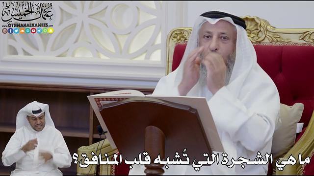 964 - ما هي الشجرة التي تُشبه قلب المنافق؟ - عثمان الخميس