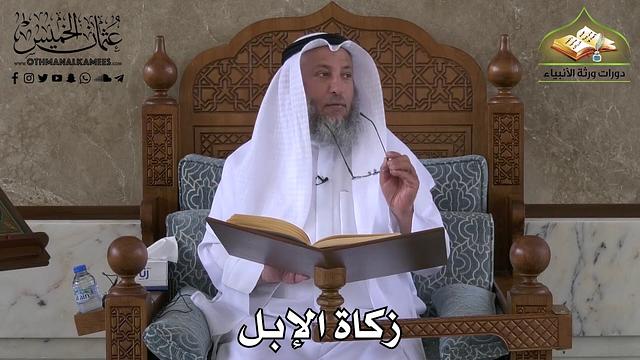 403 - زكاة الإبل - عثمان الخميس
