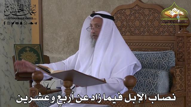 406 - نصاب الإبل فيما زاد عن أربع وعشرين - عثمان الخميس