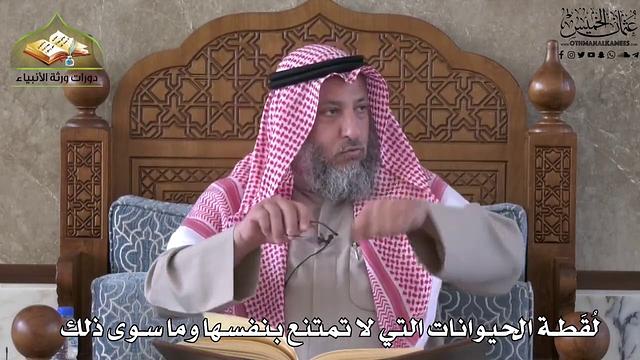 695 - لُقطة الحيوانات التي لا تمتنع بنفسها وما سوى ذلك - عثمان الخميس