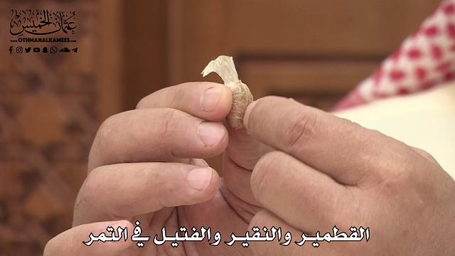 589 - القطمير والنقير والفتيل في التمر - عثمان الخميس