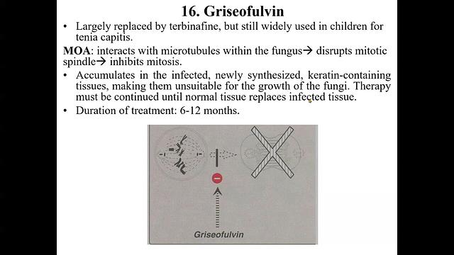 Antifungals 4-Echinocandins, terbinafine, griseofulvin