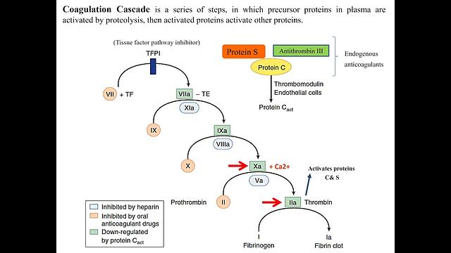 Pharmacology 3