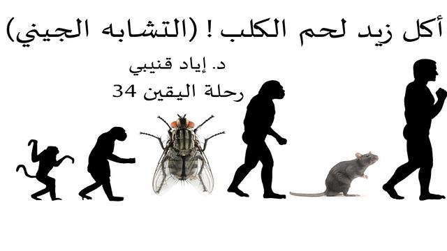 رحلة اليقين ٣٤: أكل زيد لحم الكلب - تشابه الجينات دليل لنظرية التطور أم عليها؟