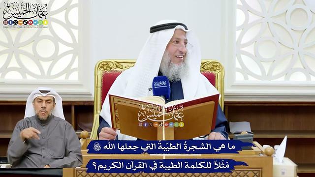 213 - ما هي الشجرةُ الطيّبةُ التي جعلها الله تعالى مَثَلاً للكلمة الطيبة في القرآن الكريم؟
