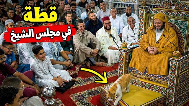 لقطة طريفة لقطة تقتحم مجلس الشيخ سعيد الكملي