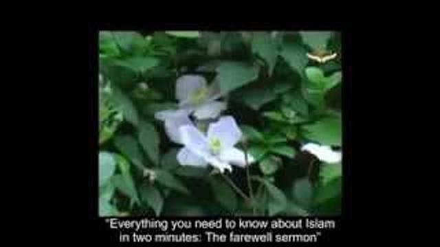 A Verse and a Hadith that summarize Islam-Dr. Eyad Qunaibi