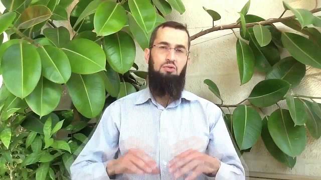 حتى تنجح ثورة الشام المباركة 1