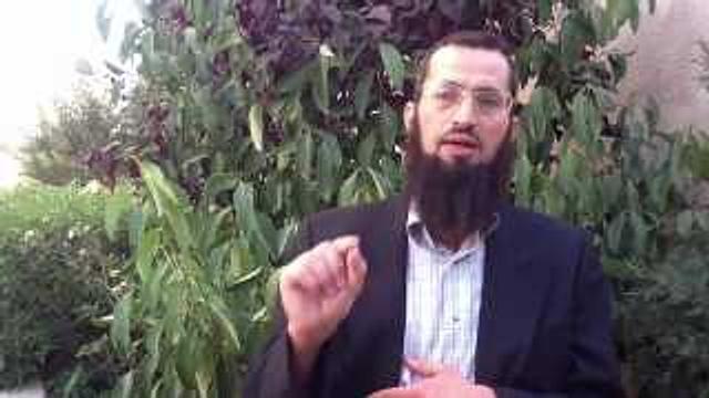 إلى من سينتخب شفيق