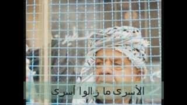 أسرانا لا زالوا أسرى - د. إياد قنيبي